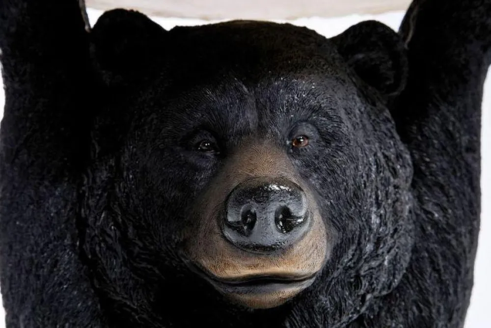 bijzettafel_animal_beer_cm_1.webp KARE Design Bijzettafel Animal Beer Ø33cm