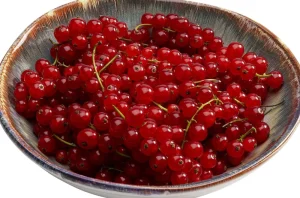 KARE Design Bord Tief Laguna Blauw Ø20cm