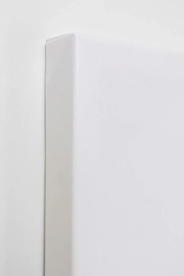 KARE Design Canvas Headdress Dog 80x80cm