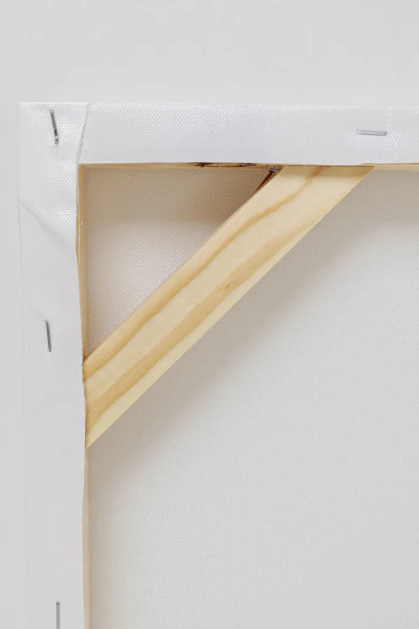 KARE Design Canvas Headdress Dog 80x80cm