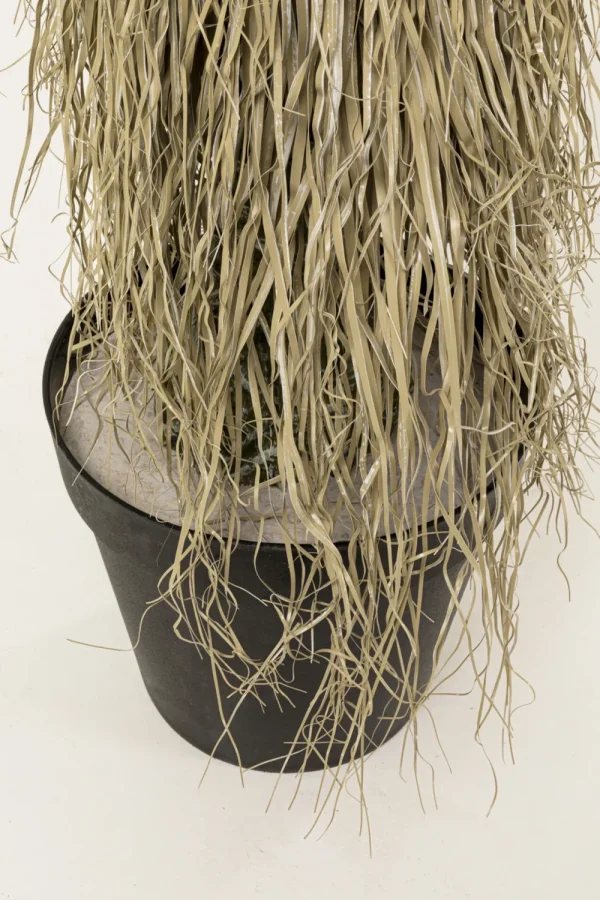 KARE Design Deco Plant Yucca Rostrata 240cm