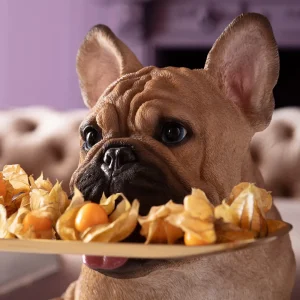 KARE Design Decofiguur Frenchy Butler 40cm