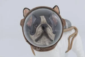 KARE Design Decofiguur Space Dog 21cm