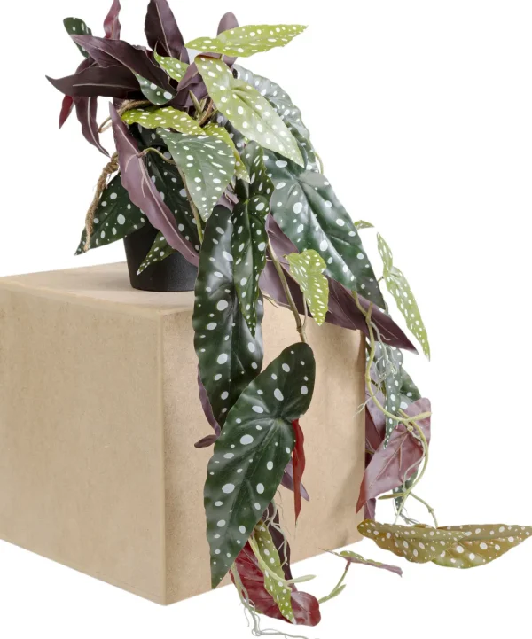 KARE Design Decoplant Begonia 45cm
