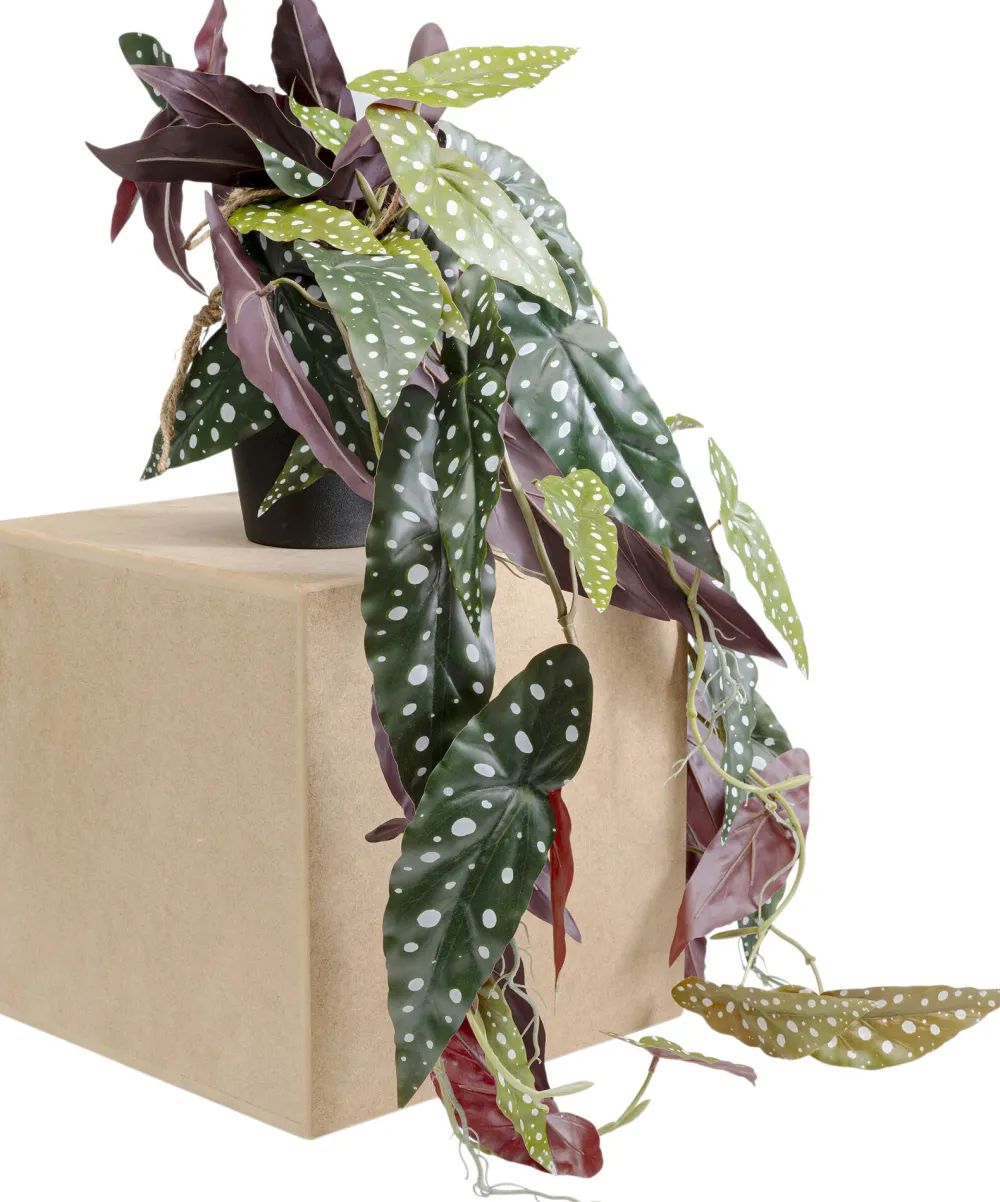 decoplant_begonia_cm_0.webp KARE Design Decoplant Begonia 45cm