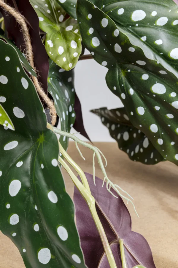 KARE Design Decoplant Begonia 45cm