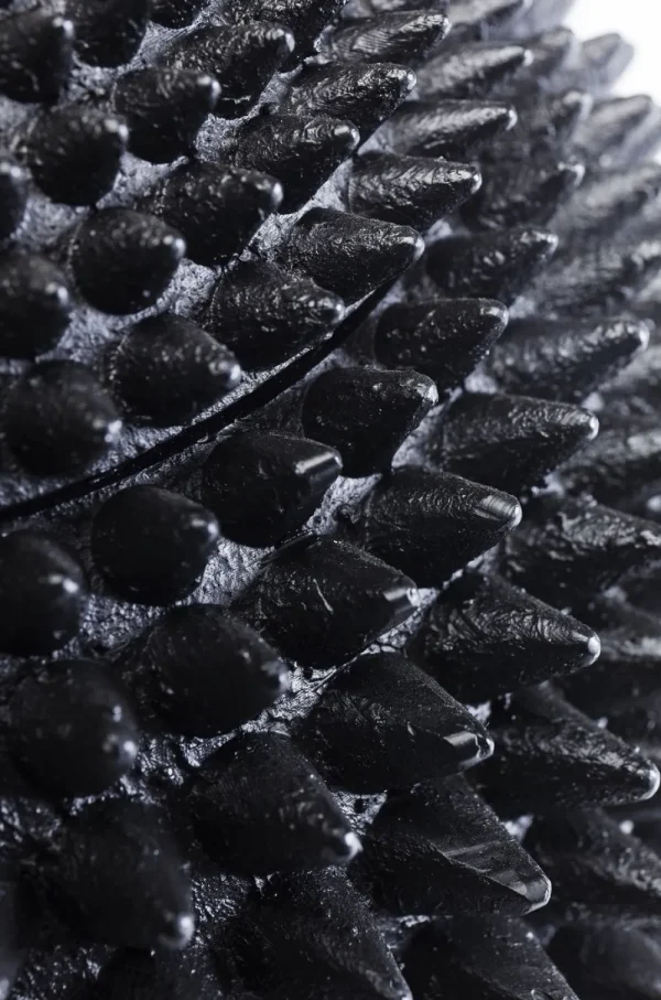 KARE Design Decoratiepot Papegaai