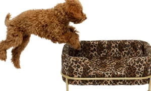 KARE Design Dierenbed Diva Leo