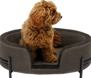 KARE Design Dierenbed Dream Day Grey