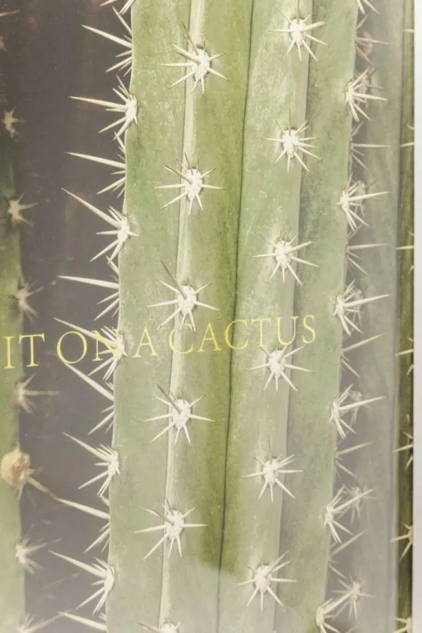 KARE Design Fotolijst Cactus 45x33cm