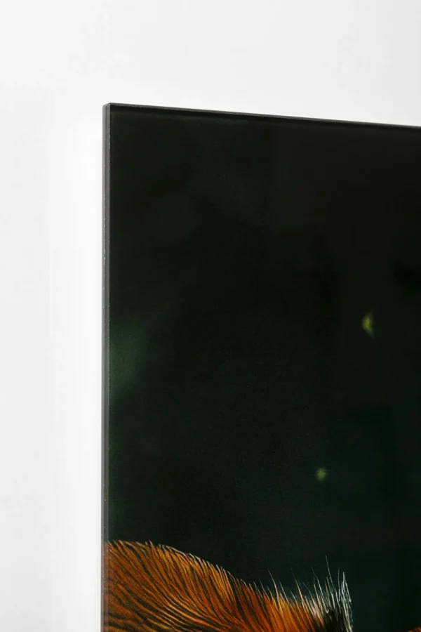 KARE Design Glasschilderij Astronauts Dogs 80x60cm