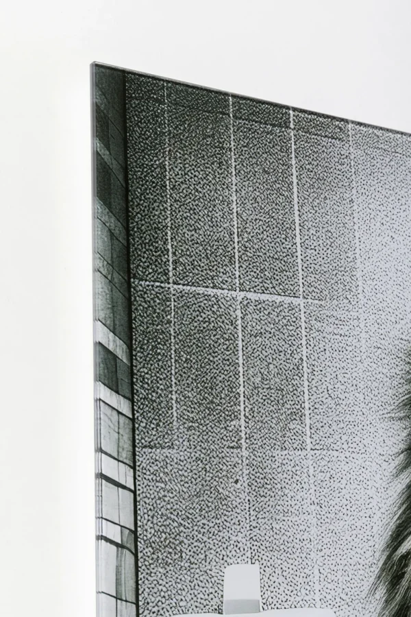 KARE Design Glasschilderij Bath Lion 60x80cm