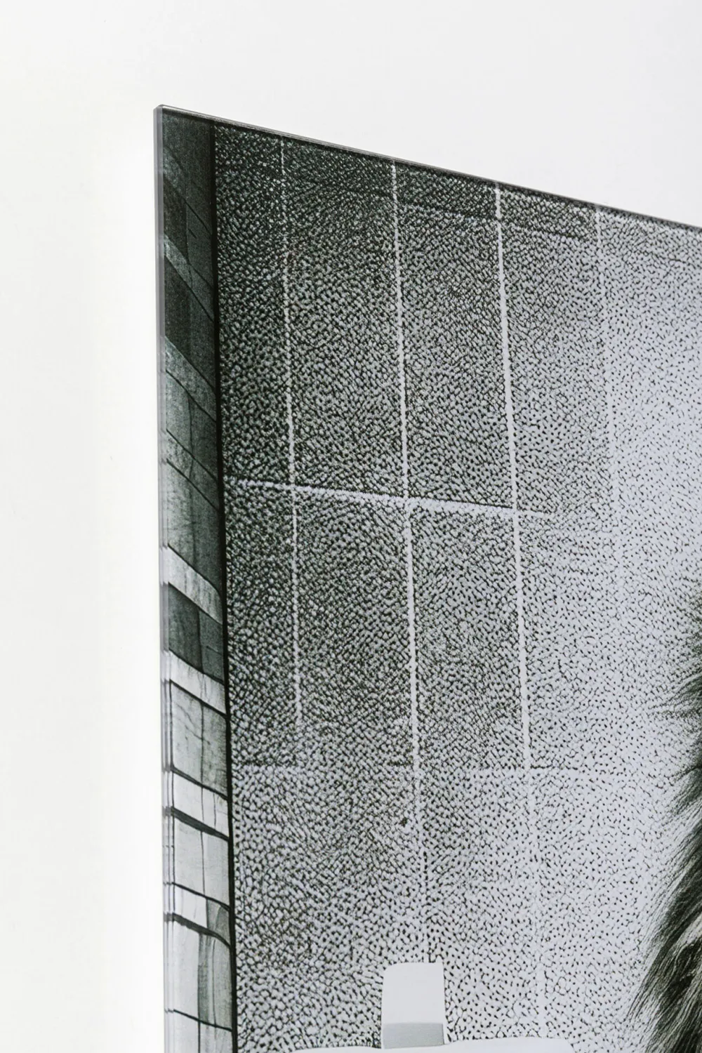 glasschilderij_bath_lion_xcm_1.webp KARE Design Glasschilderij Bath Lion 60x80cm