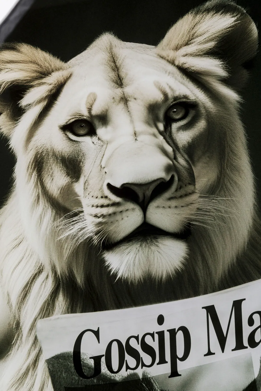 glasschilderij_bath_lioness_xcm_1.webp KARE Design Glasschilderij Bath Lioness 60x80cm