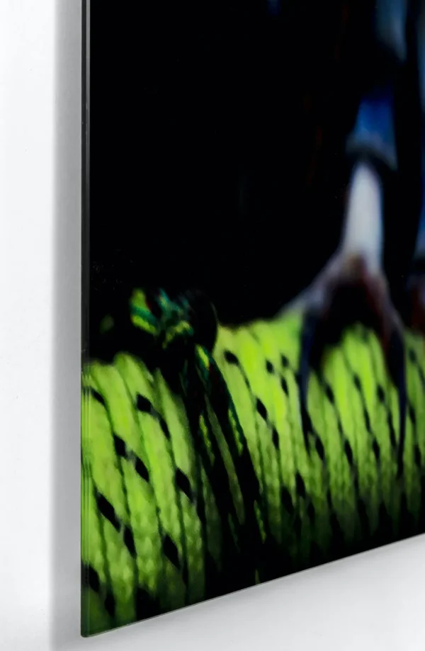 KARE Design Glasschilderij Cute Owl 120x80cm