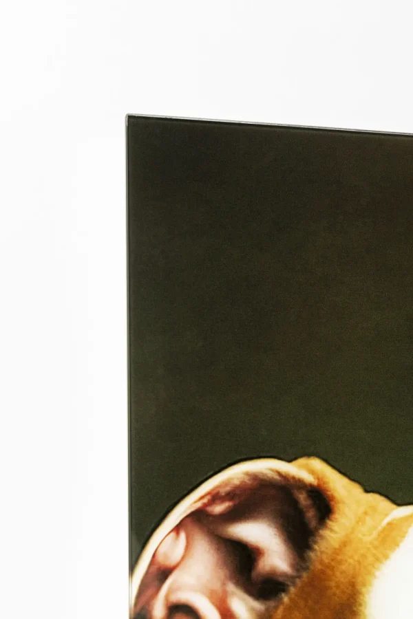 KARE Design Glasschilderij Dog Family 110x90cm