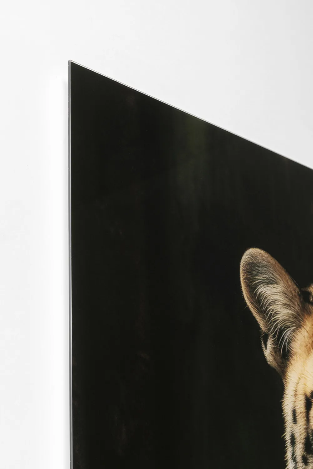 glasschilderij_mister_leo_xcm_3.webp KARE Design Glasschilderij Mister Leo 100x150cm