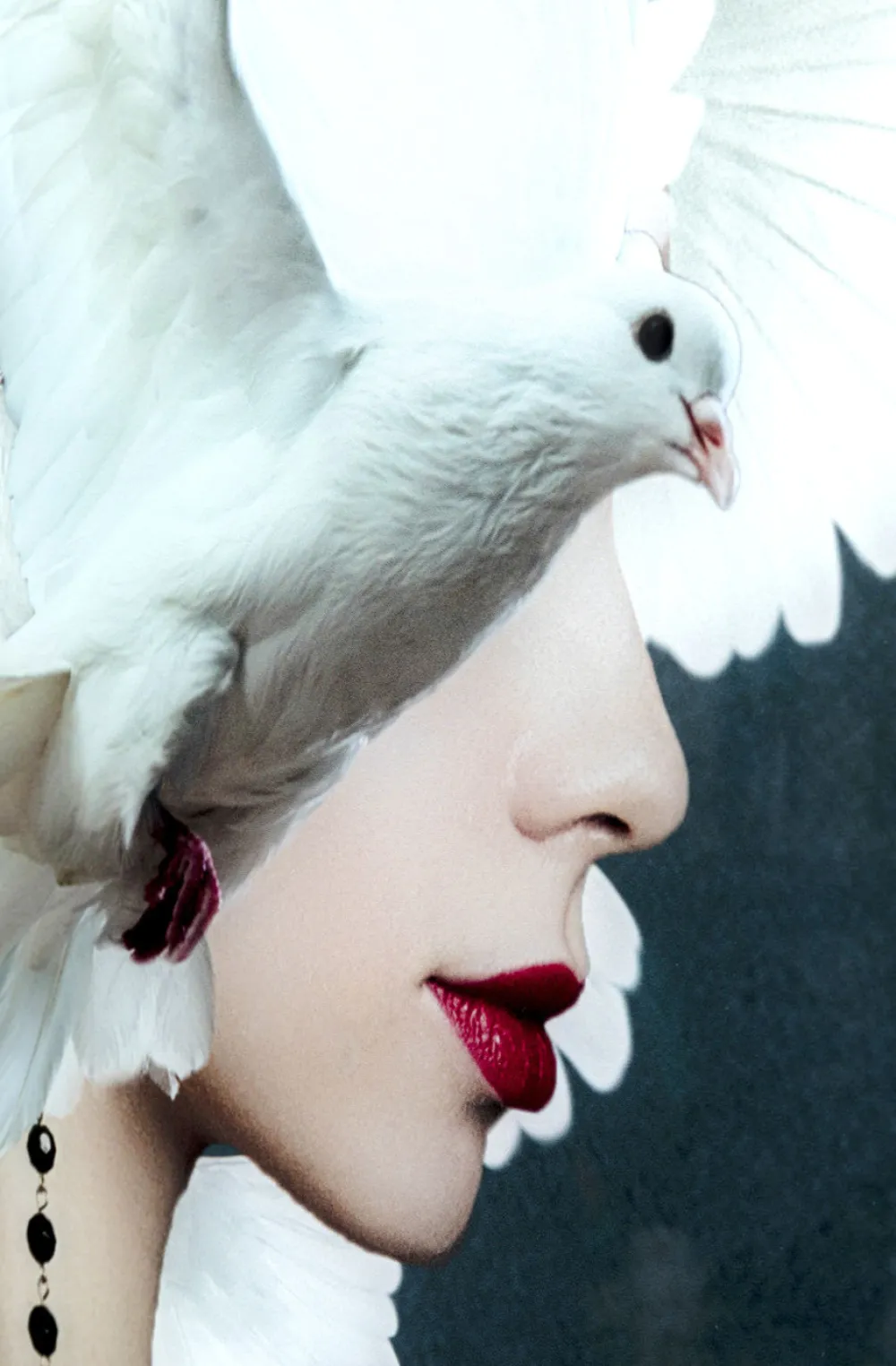 glasschilderij_mother_of_doves_xcm_3.webp KARE Design Glasschilderij Mother Of Doves 80x120cm