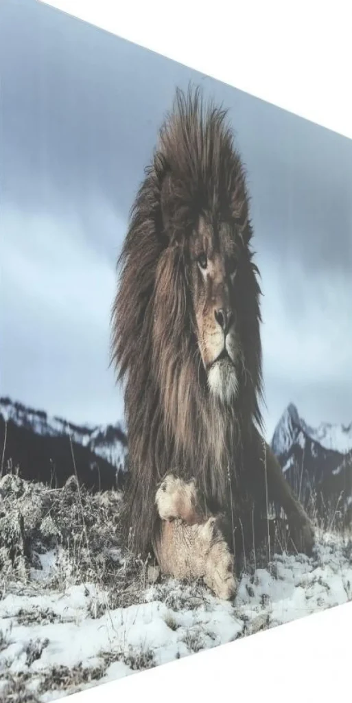 KARE Design Glasschilderij Proud Lion 180x120cm