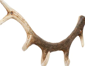 KARE Design Kapstok Antler Nature