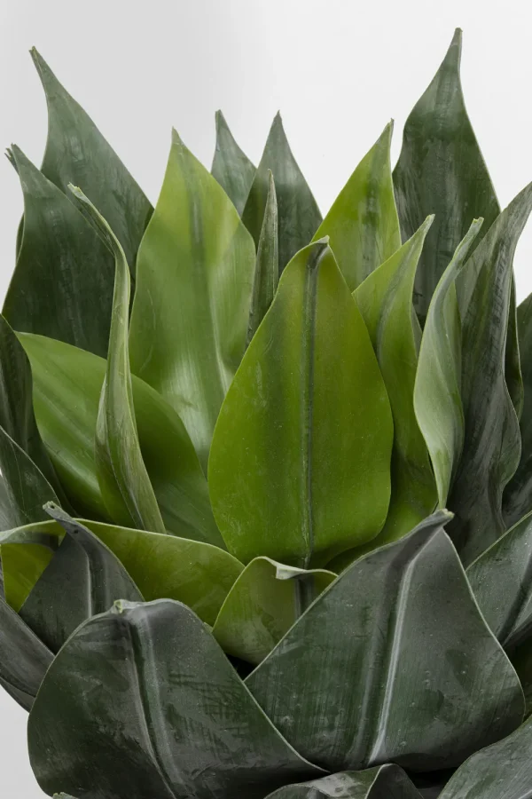 KARE Design Kunstplant Agave 120cm