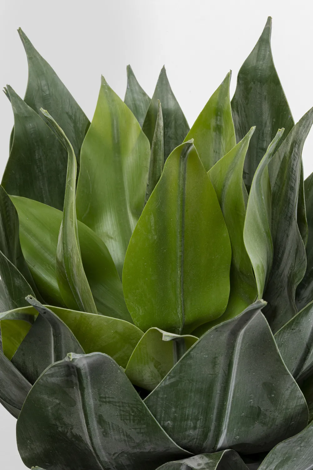 kunstplant_agave_cm_0-2.webp KARE Design Kunstplant Agave 120cm