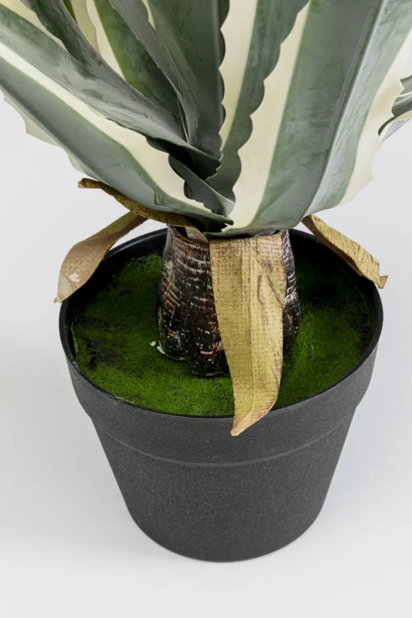 KARE Design Kunstplant Agave 50cm