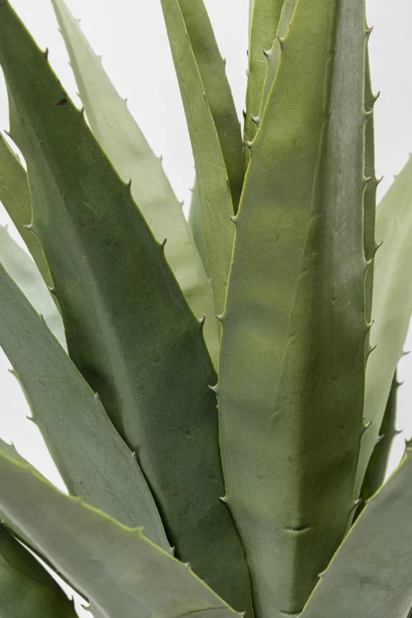 KARE Design Kunstplant Agave 85cm
