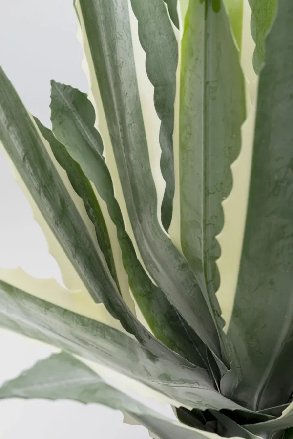 KARE Design Kunstplant Agave 50cm
