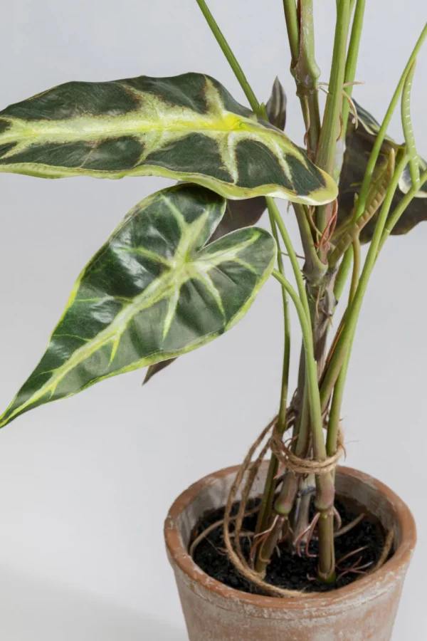 KARE Design Kunstplant Alocasia 80cm
