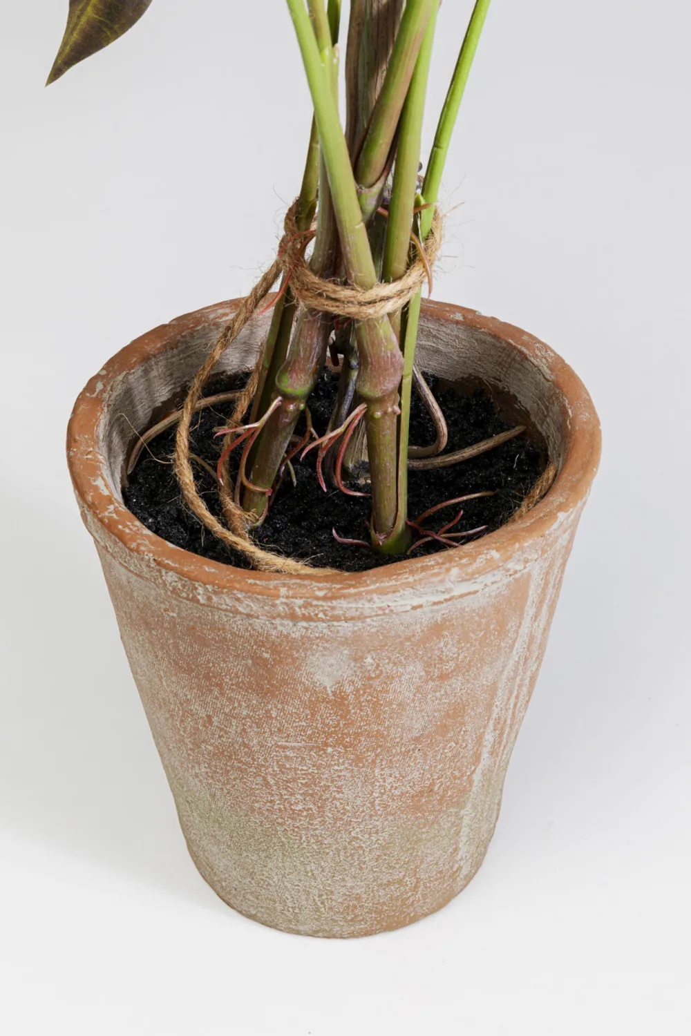 kunstplant_alocasia_cm_2.webp KARE Design Kunstplant Alocasia 80cm