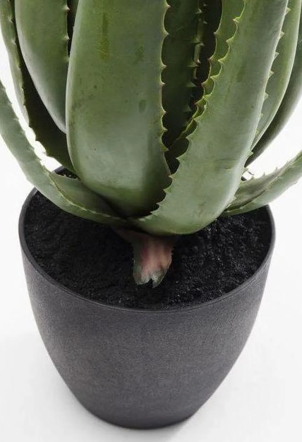 kunstplant_aloe_cm_1.webp KARE Design Kunstplant Aloe 69cm