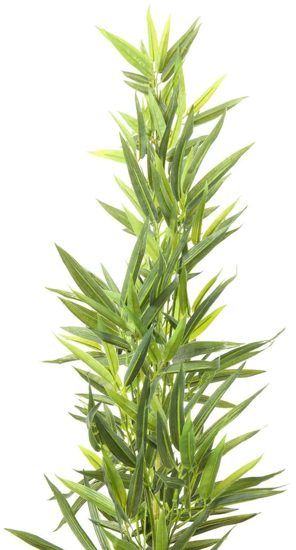 kunstplant_bamboe_boom_cm_1.webp KARE Design Kunstplant Bamboe Boom 200cm