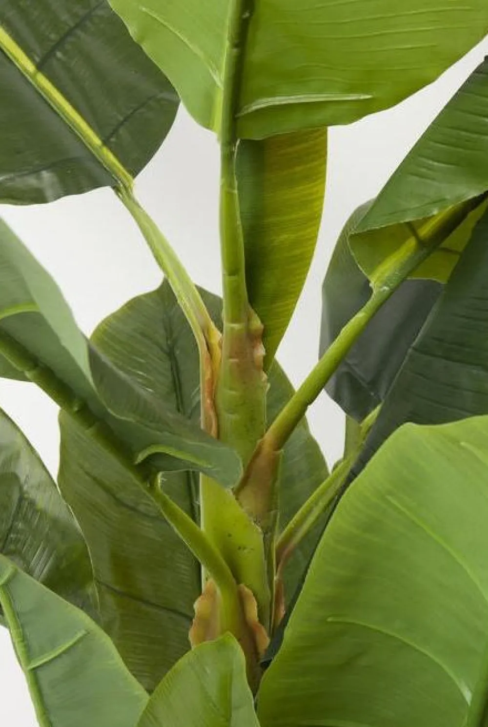 kunstplant_bananen_boom_cm_4.webp KARE Design Kunstplant Bananen Boom 180cm