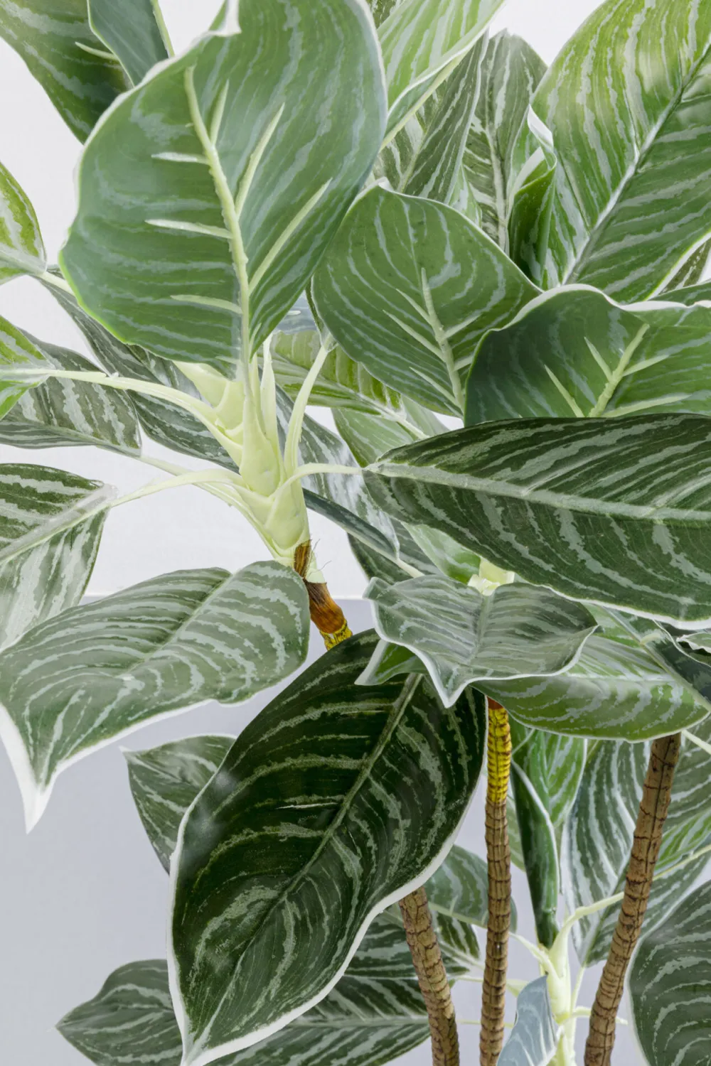 kunstplant_calathea_cm_1.webp KARE Design Kunstplant Calathea 140cm