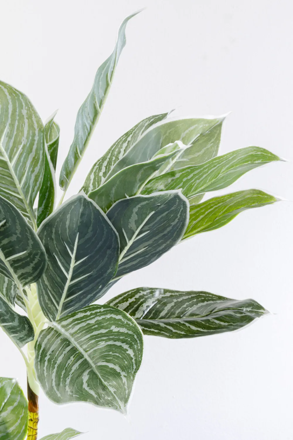 kunstplant_calathea_cm_2.webp KARE Design Kunstplant Calathea 140cm