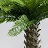 KARE Design Kunstplant Cycas 70cm