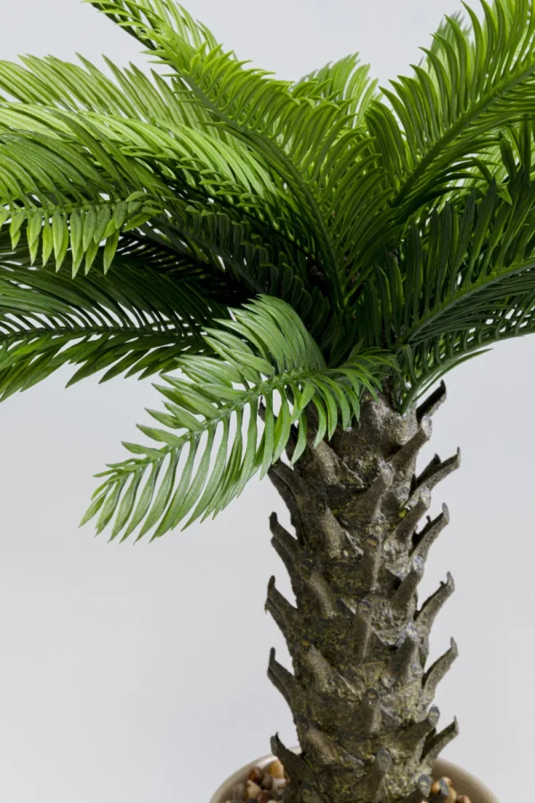 KARE Design Kunstplant Cycas 70cm