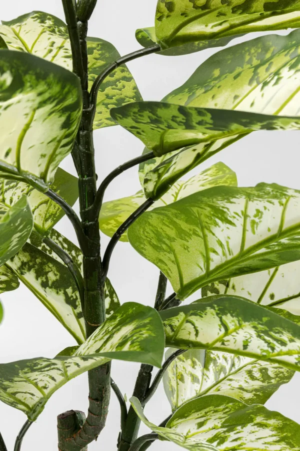 KARE Design Kunstplant Dieffenbachie 100cm