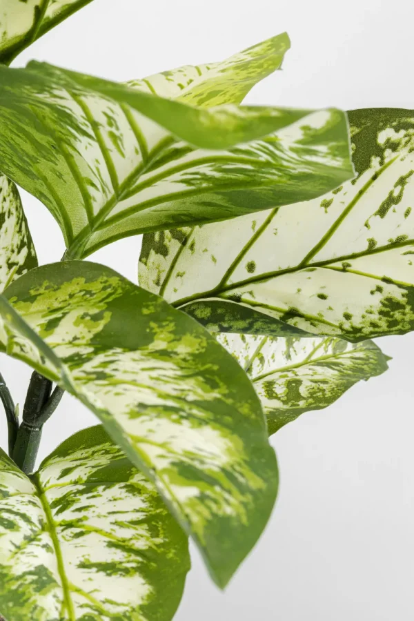 KARE Design Kunstplant Dieffenbachie 100cm