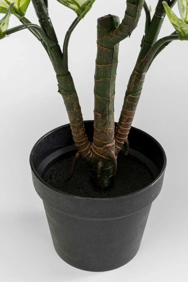 KARE Design Kunstplant Dieffenbachie 100cm