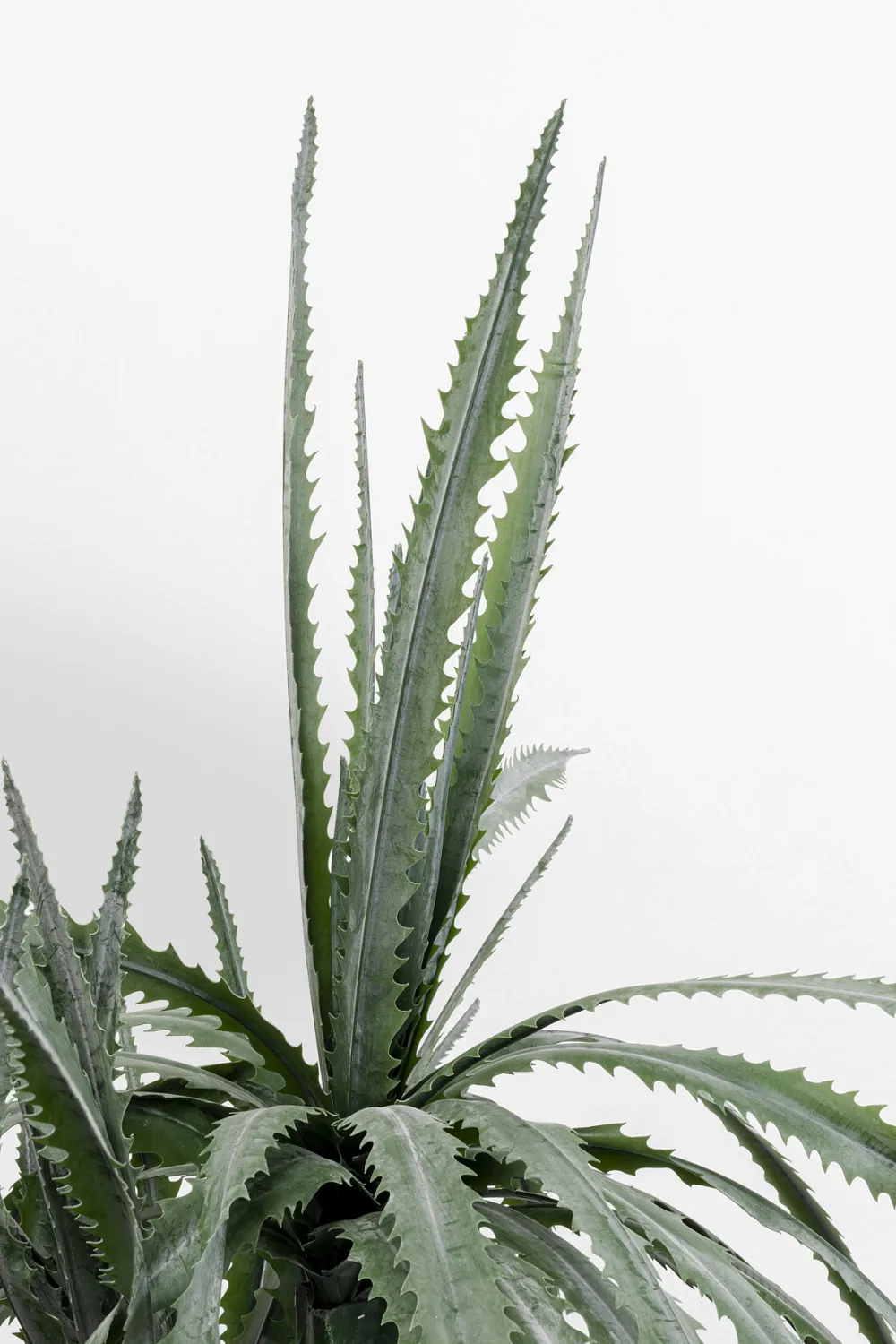 kunstplant_dragon_tree_cm_0.webp KARE Design Kunstplant Dragon Tree 155cm