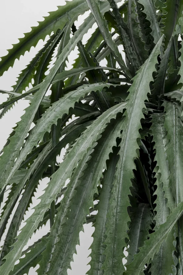 KARE Design Kunstplant Dragon Tree 155cm