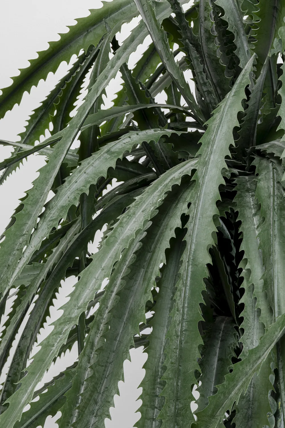 kunstplant_dragon_tree_cm_1.webp KARE Design Kunstplant Dragon Tree 155cm