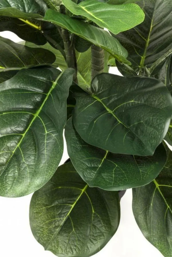 KARE Design Kunstplant Fiddle Leaf 120cm