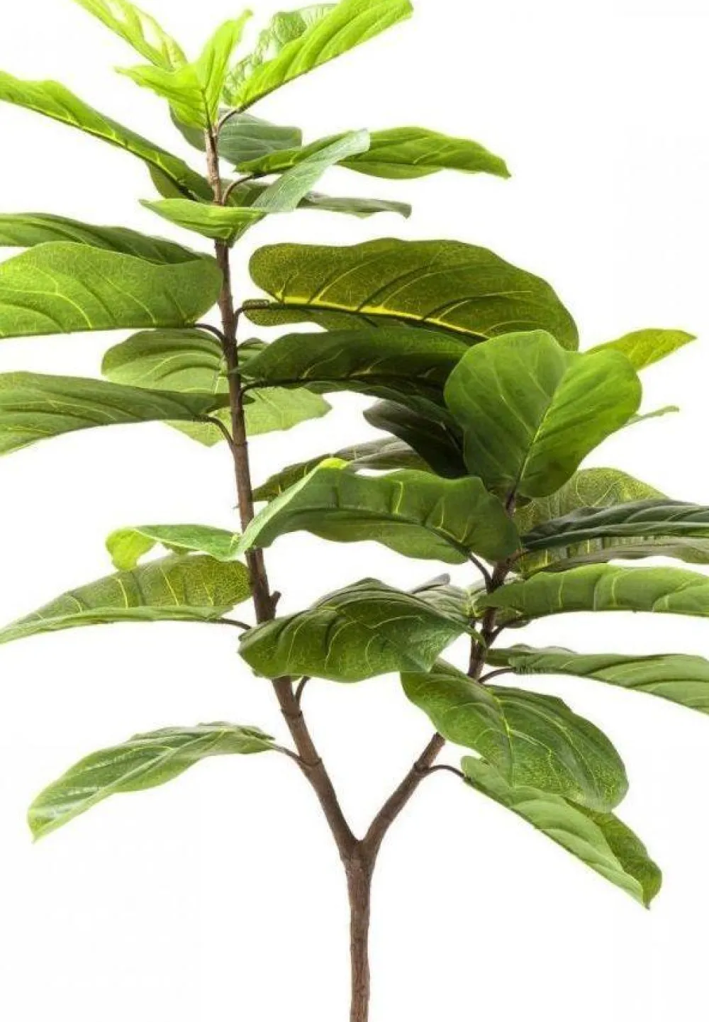 kunstplant_leaf_tree_cm_2.webp KARE Design Kunstplant Leaf Tree 170cm