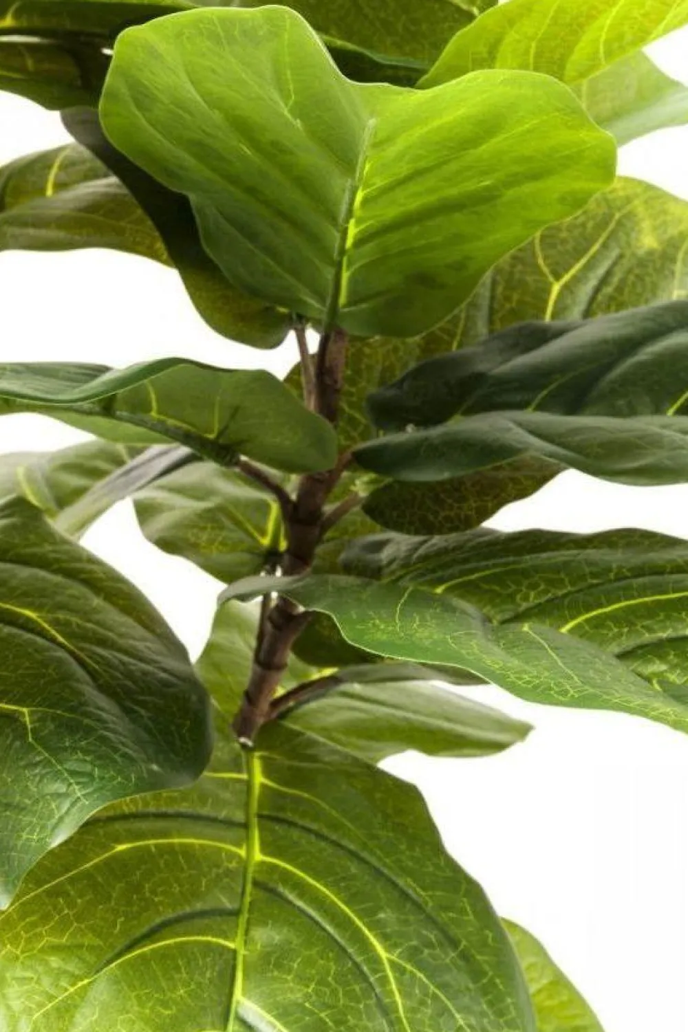 kunstplant_leaf_tree_cm_3.webp KARE Design Kunstplant Leaf Tree 170cm