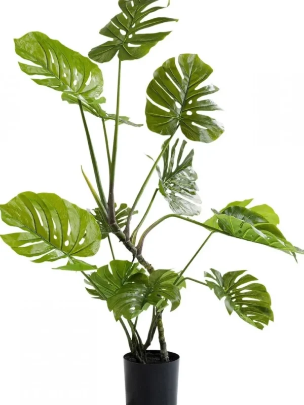 KARE Design Kunstplant Monstera 110cm