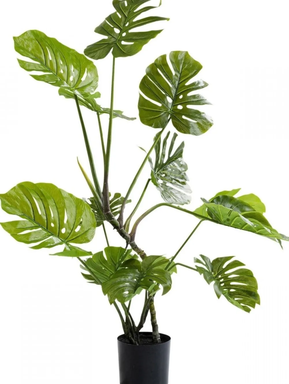 kunstplant_monstera_cm_1.webp KARE Design Kunstplant Monstera 110cm