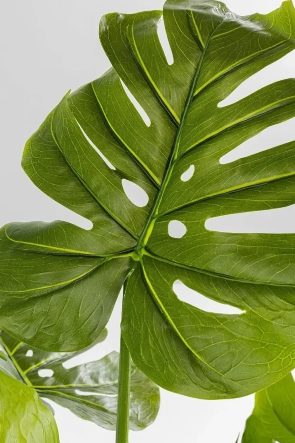 KARE Design Kunstplant Monstera 110cm